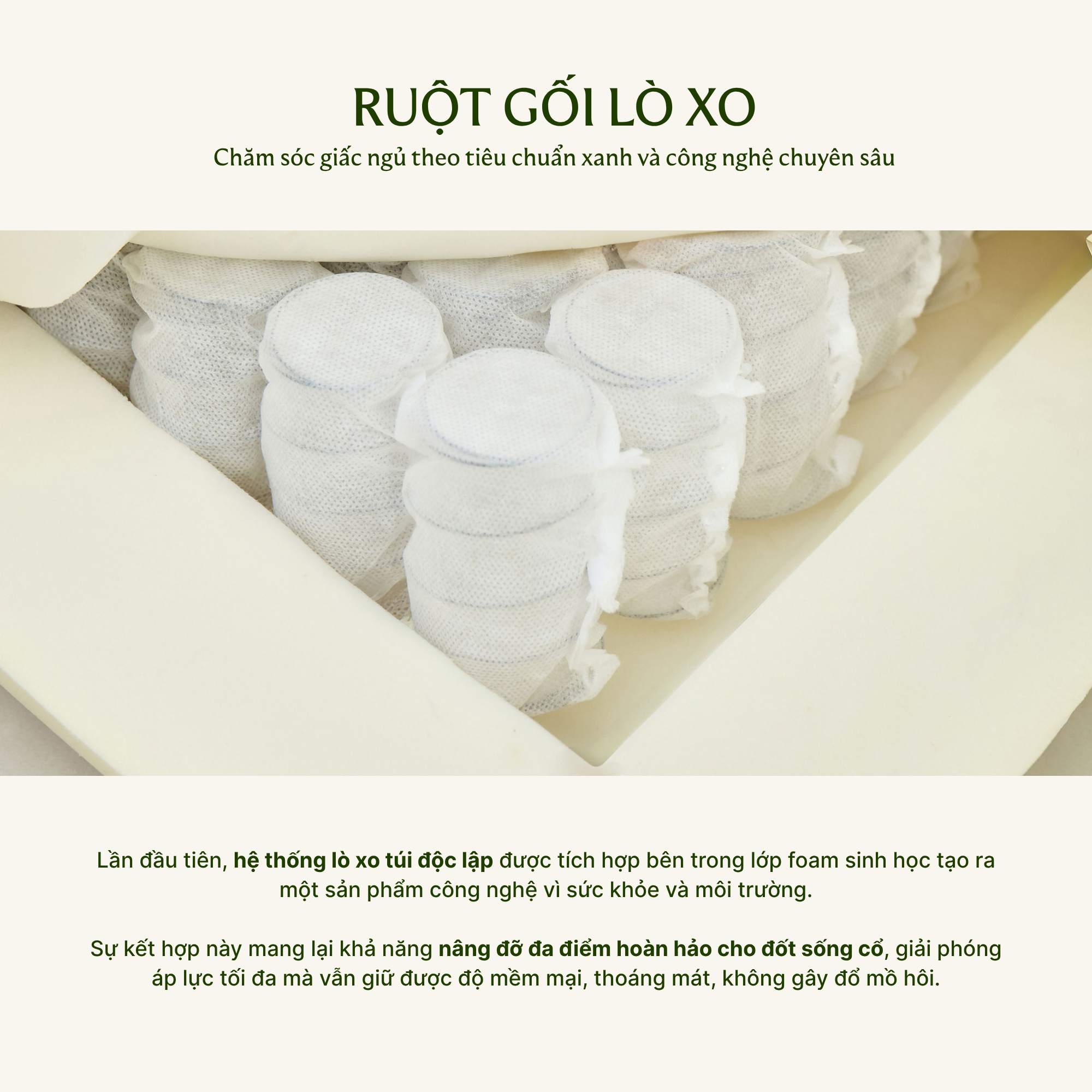 Cấu tạo ruột gối nâng đỡ đa điểm Everon